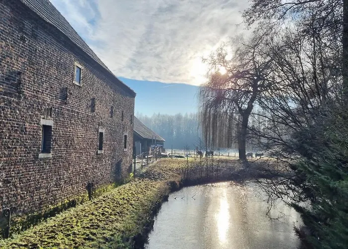 Terborgh Budget * Schinnen